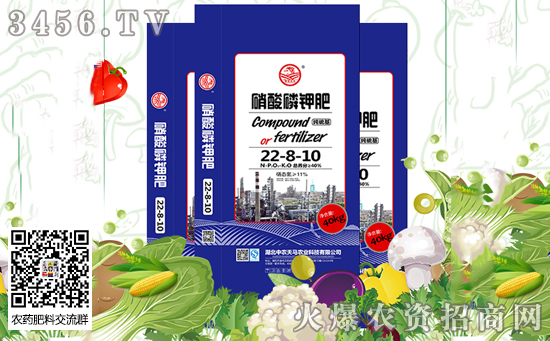 2019年11月12日國內(nèi)鉀肥價(jià)格行情走勢(shì) 2019年11月12日國內(nèi)鉀肥價(jià)格行情走勢(shì)