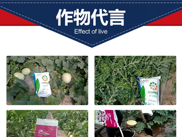 é‘»åžæµ—é—Â¤é–‹æ¾¶î‚¬ç´™é–æ¤¾å«éŒ›å¤Šå•˜æ¶“æ°±î–鎶€éˆå¤æªºé徃浜уæ§2_07.jpg é‘»åžæµ—é—Â¤é–‹æ¾¶î‚¬ç´™é–æ¤¾å«éŒ›å¤Šå•˜æ¶“æ°±î–鎶€éˆå¤æªºé徃浜уæ§2_07.jpg