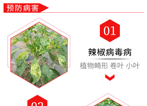 çƒ¯Â·ç¾¥Â·ç¡«é…¸éŠ…ï¼ˆ80gï¼‰-å€çˆ¾è¾²(nÃ³ng)åŒ–