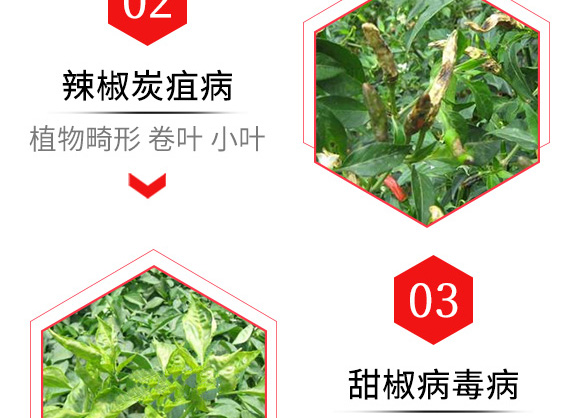 çƒ¯Â·ç¾¥Â·ç¡«é…¸éŠ…ï¼ˆ80gï¼‰-å€çˆ¾è¾²(nÃ³ng)åŒ–