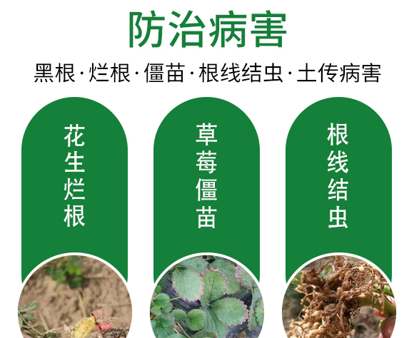 ?;ㄅ蚬?田園季豐-大豐肥業(yè) ?;ㄅ蚬?田園季豐-大豐肥業(yè)