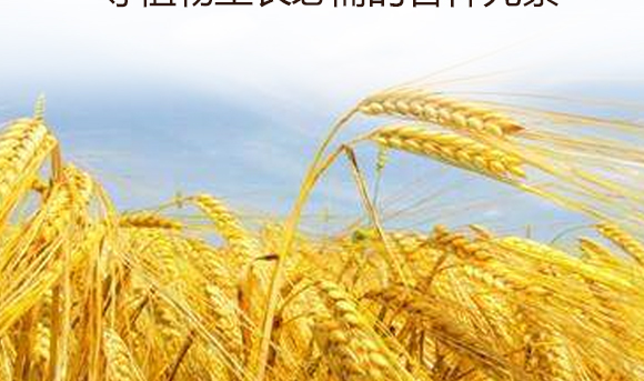 灞變笢鍐滀匠涓€鐢熺墿縐戞妧鏈夐檺鍏徃鐢誨唽_09.jpg