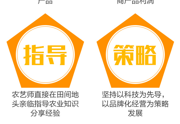 寰峰浗鍏墰錛堝浗闄咃級妞嶇墿淇濇姢鏈夐檺鍏徃浜у搧璇︽儏欏?_08.jpg