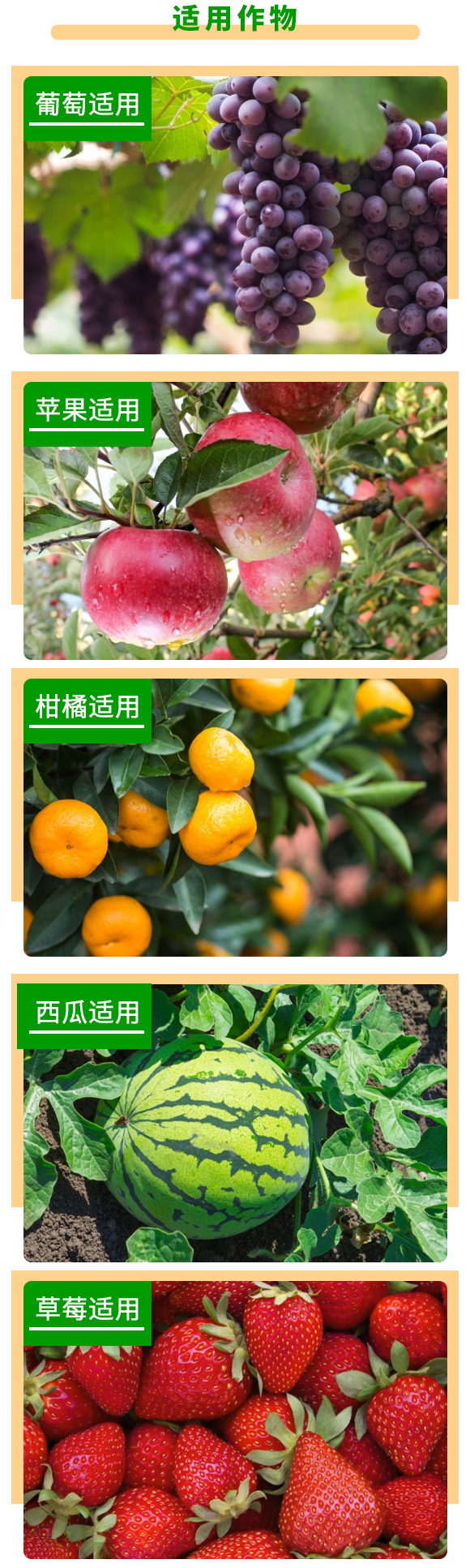 åŽŸç”Ÿæ…‹(tÃ i)è…æ¤é…¸-æ ¹åŠ›é”-é‡‘æ­£ç”Ÿç‰©