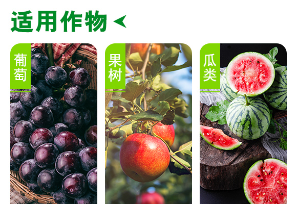 é—ˆæŽ‘çŸæµ£æ„°åŠé¢ç†ºå¢¿ç¸æˆžå¦§éˆå¤æªºé徃浜уæ§ç’‡ï¸½å„æ¬?_04.jpg é—ˆæŽ‘çŸæµ£æ„°åŠé¢ç†ºå¢¿ç¸æˆžå¦§éˆå¤æªºé徃浜уæ§ç’‡ï¸½å„æ¬?_04.jpg
