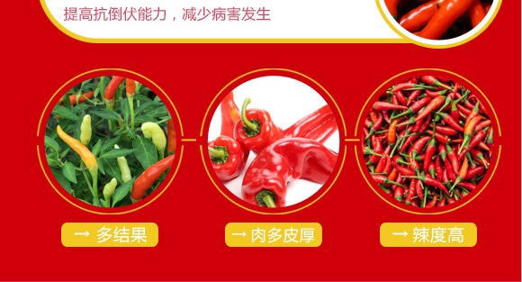 婕渤甯傚倕鐗屽啘涓氱鎶€鏈夐檺鍏徃2_06.jpg 婕渤甯傚倕鐗屽啘涓氱鎶€鏈夐檺鍏徃2_06.jpg