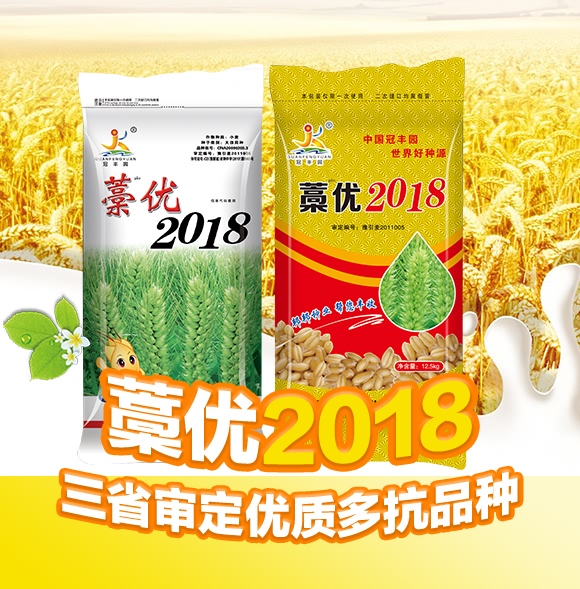 小麥種子-藁優(yōu)2018-冠豐園