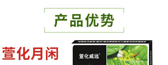 萱化月閑-萱化威遠(yuǎn)