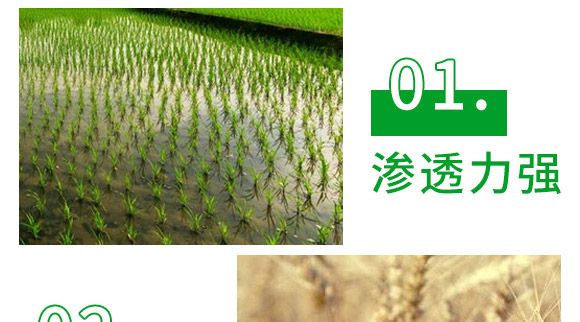 芐嘧·苯噻酰-草拳-長(zhǎng)雙農(nóng)藥