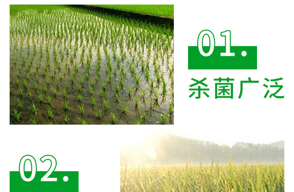 3%甲霜·噁霉靈水劑-護(hù)將-長雙農(nóng)藥