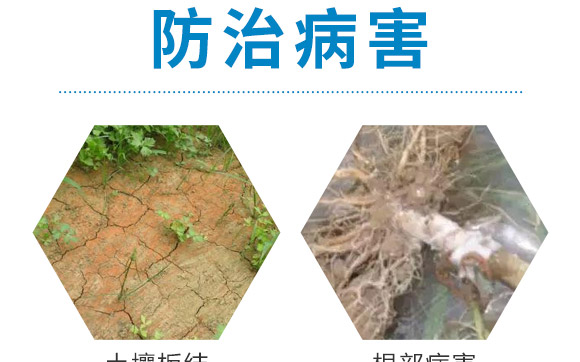ä¸­å¾®é‡å…ƒç´ ç·©é‡‹é¡†ç²’-ç™¾æ–¯åŸºè¾²(nÃ³ng)