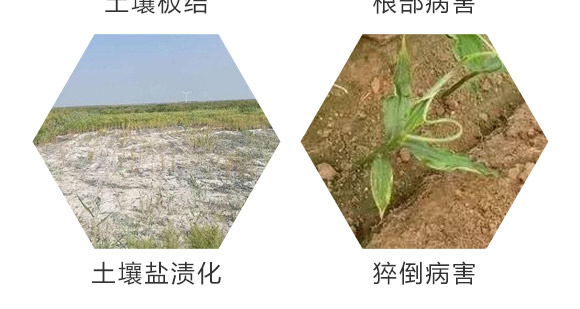 ä¸­å¾®é‡å…ƒç´ ç·©é‡‹é¡†ç²’-ç™¾æ–¯åŸºè¾²(nÃ³ng)