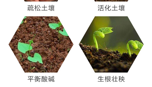 ä¸­å¾®é‡å…ƒç´ ç·©é‡‹é¡†ç²’-ç™¾æ–¯åŸºè¾²(nÃ³ng)