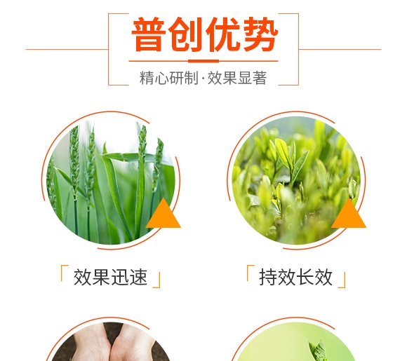 ç©©(wÄ›n)å®šæ€§æ¶²é«”ç·©é‡‹æ°®è‚¥-è‰¾è²æ–¯-æ™®å‰µ(chuÃ ng)