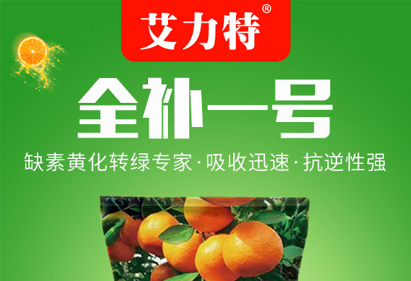 å…¨è£œä¸€è™Ÿ-è‰¾åŠ›ç‰¹-æ˜“æ™®è±