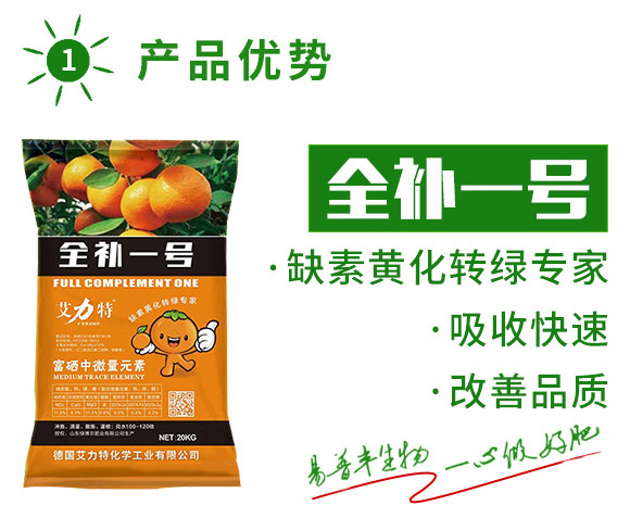 å…¨è£œä¸€è™Ÿ-è‰¾åŠ›ç‰¹-æ˜“æ™®è±