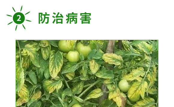 å…¨è£œä¸€è™Ÿ-è‰¾åŠ›ç‰¹-æ˜“æ™®è±