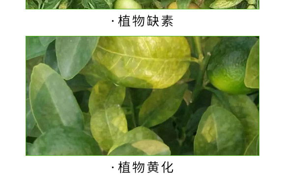 å…¨è£œä¸€è™Ÿ-è‰¾åŠ›ç‰¹-æ˜“æ™®è±
