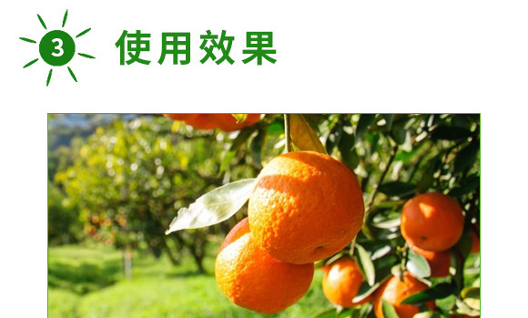 å…¨è£œä¸€è™Ÿ-è‰¾åŠ›ç‰¹-æ˜“æ™®è±
