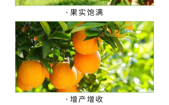 å…¨è£œä¸€è™Ÿ-è‰¾åŠ›ç‰¹-æ˜“æ™®è±