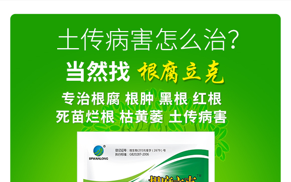 瀹濅赴涓囬殕鑲ヤ笟鏈夐檺鍏徃(鏍硅厫绔嬪厠)_06.jpg