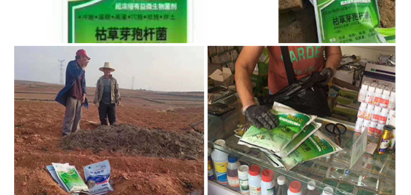 瀹濅赴涓囬殕鑲ヤ笟鏈夐檺鍏徃(鏍硅厫绔嬪厠)_13.jpg