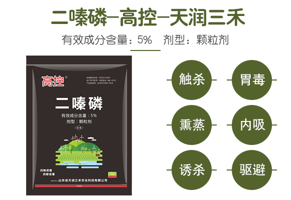 浜屽棯紓?楂樻帶-澶╂鼎涓夌_03.jpg 浜屽棯紓?楂樻帶-澶╂鼎涓夌_03.jpg