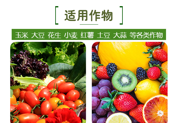 浜屽棯紓?楂樻帶-澶╂鼎涓夌_04.jpg 浜屽棯紓?楂樻帶-澶╂鼎涓夌_04.jpg