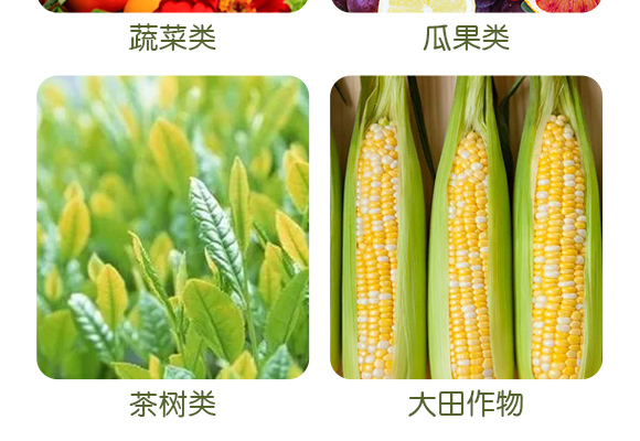 浜屽棯紓?楂樻帶-澶╂鼎涓夌_05.jpg 浜屽棯紓?楂樻帶-澶╂鼎涓夌_05.jpg