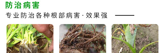 微生物菌劑（專注防治根部病害）-根本根-薩林農業(yè)