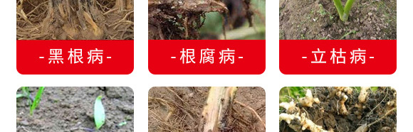 微生物菌劑（專注防治根部病害）-根本根-薩林農業(yè)