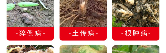 微生物菌劑（專注防治根部病害）-根本根-薩林農業(yè)