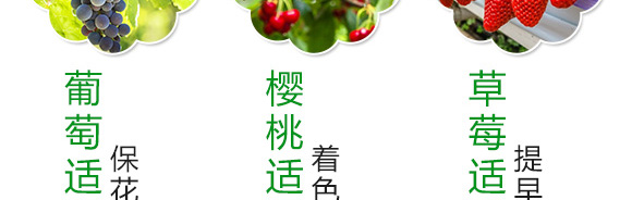 è†¨æžœåž‹å¾®ç”Ÿç‰©èŒåŠ‘-è‰¾å§†æžœ-è‰¾å§†æ–¯ç‰¹