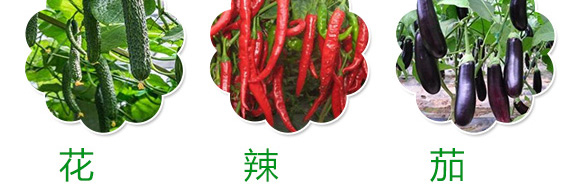 è†¨æžœåž‹å¾®ç”Ÿç‰©èŒåŠ‘-è‰¾å§†æžœ-è‰¾å§†æ–¯ç‰¹