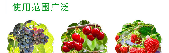 è†¨æžœåž‹å¾®ç”Ÿç‰©èŒåŠ‘-è‰¾å§†æžœ-è‰¾å§†æ–¯ç‰¹
