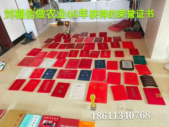 weixintupian_20201119093530.jpg