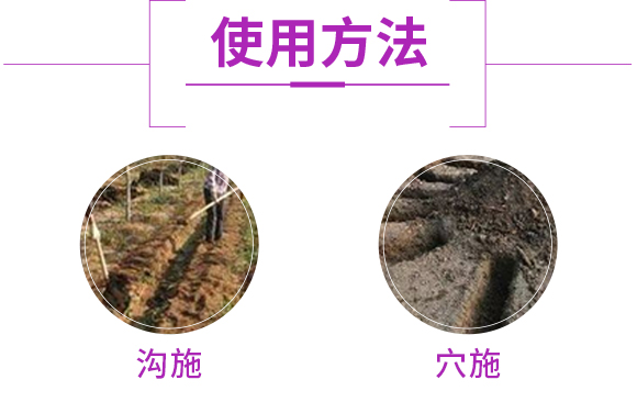 鏈夋満-鏃犳満澶嶆販鑲ユ枡12-0-3-緇胯兘婧恄05.jpg