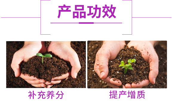 鏈夋満-鏃犳満澶嶆販鑲ユ枡12-0-3-緇胯兘婧恄06.jpg