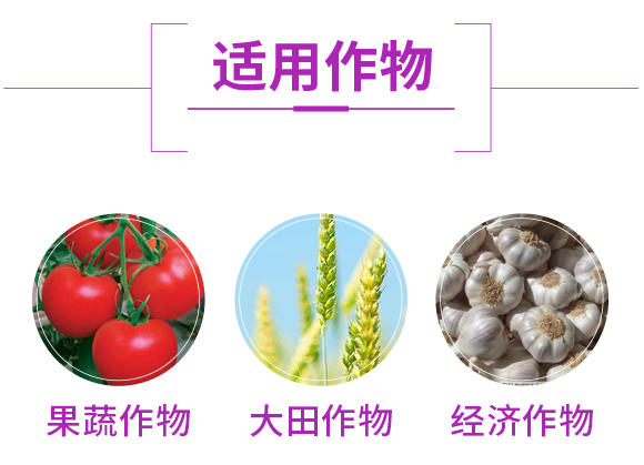 鏈夋満-鏃犳満澶嶆販鑲ユ枡12-0-3-緇胯兘婧恄07.jpg