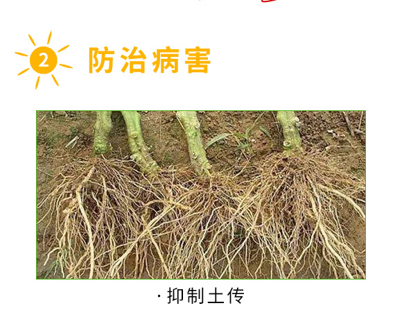 é—ˆæŽ‘çŸé„æ’´æ«˜æ¶“æ‰®æ•“é—â•ƒî–éŽ¶â‚¬éˆå¤æªºéî„€å¾ƒ2_04.jpg