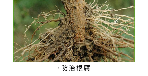 é—ˆæŽ‘çŸé„æ’´æ«˜æ¶“æ‰®æ•“é—â•ƒî–éŽ¶â‚¬éˆå¤æªºéî„€å¾ƒ2_05.jpg