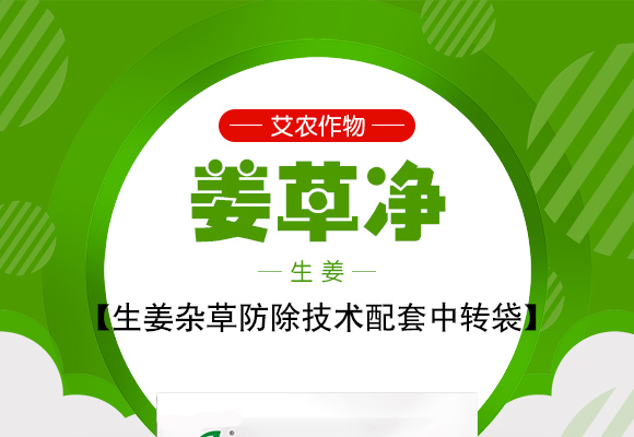 濮滆崏鍑€_01.jpg