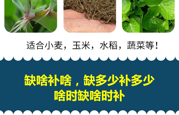 鏄撳彲涓?鏂板啘鏉慱10.jpg 鏄撳彲涓?鏂板啘鏉慱10.jpg