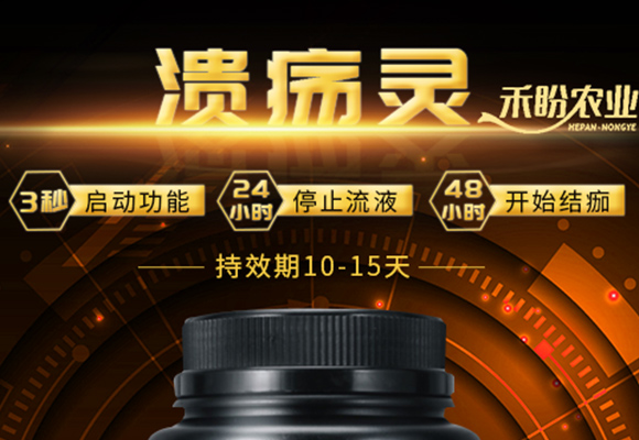 婧冪枴鐏?紱劇浖涔嬫槦-涓婃搗紱劇浖_01.jpg