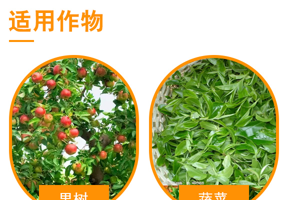 婧冪枴鐏?紱劇浖涔嬫槦-涓婃搗紱劇浖_04.jpg
