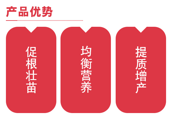 25kgæ¥‚æ©€æ‘é¨å¬ªã‡é–²å¿“åŽ“ç»±çŠ³æŒ‰å©§æƒ°å‰é‚?2-8-40+TE_04.jpg
