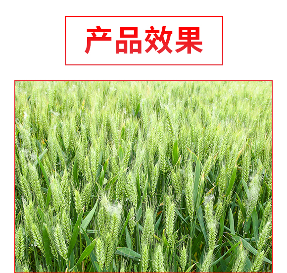 杈夊幙甯?jìng)桴U鍖楃涓氭湁闄愬叕鍙?瑗垮啘100_04.jpg