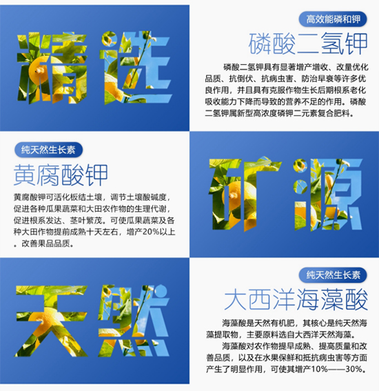 鑶ㄦ灉鐫€鑹查珮閽炬按婧惰偉10-6-38+TE-縐戣禌寰?瀹夐槼涓洓3.jpg 鑶ㄦ灉鐫€鑹查珮閽炬按婧惰偉10-6-38+TE-縐戣禌寰?瀹夐槼涓洓3.jpg
