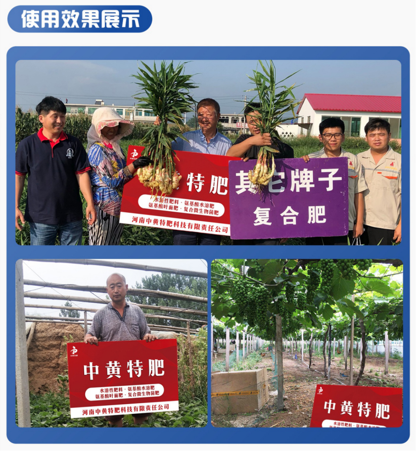 鑶ㄦ灉鐫€鑹查珮閽炬按婧惰偉10-6-38+TE-縐戣禌寰?瀹夐槼涓洓5.jpg 鑶ㄦ灉鐫€鑹查珮閽炬按婧惰偉10-6-38+TE-縐戣禌寰?瀹夐槼涓洓5.jpg