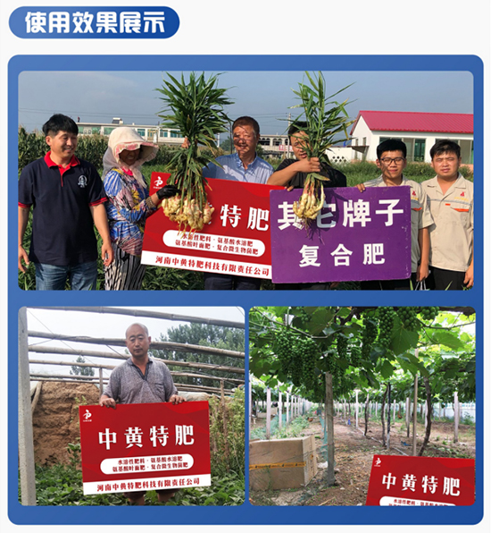 淇濊姳淇濇灉楂樼7姘存憾鑲?0-35-10+TE-縐戣禌寰?瀹夐槼涓洓5.jpg 淇濊姳淇濇灉楂樼7姘存憾鑲?0-35-10+TE-縐戣禌寰?瀹夐槼涓洓5.jpg